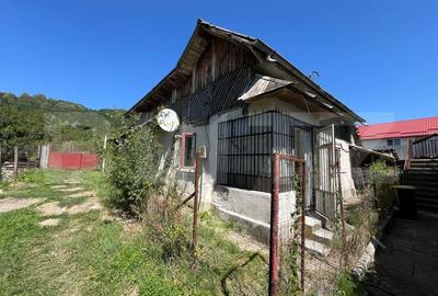 Casa de vanzare, cu 2 camere, 67 mp utili, teren 2.219 mp - Fieni - 14