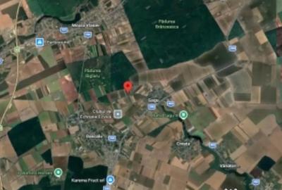 Teren în Dascălu - 1