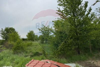 Spațiu comercial, în Ciolpani - 3
