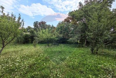 Casa traditionala De Vanzare cu 5 Hectare de teren - 8