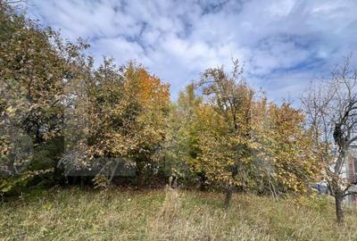 Teren de 702 mp, în Bună Ziua - 3