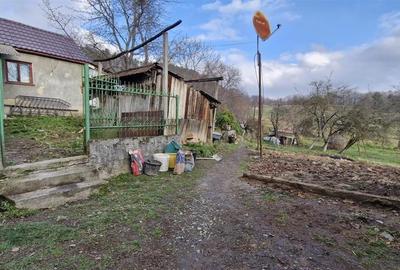 RECO Teren intravilan in Borod, Bihor 1750mp - 11