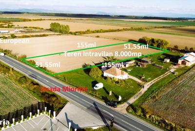 Teren de 8000 mp, în Botiz - 1