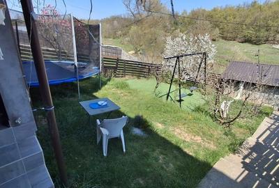 Casă cu 3 camere în Smeura - 5