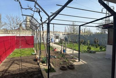 Casa + hala, oportunitate de afacere in zona industriala - 2