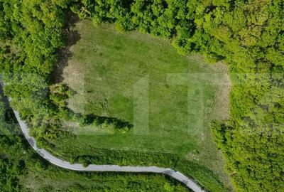 Teren superb, in mijlocul naturii, 18.360 mp, la Carji?i - 3