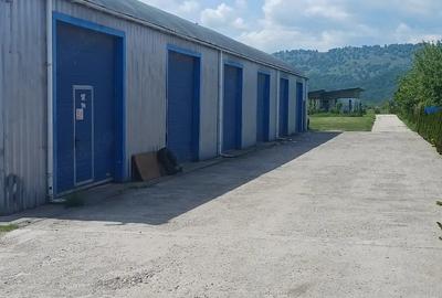 Spațiu comercial, de 480 mp, în Dumbrava - 10