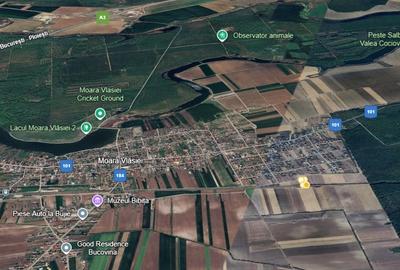 De vanzare | Teren 1500 mp | Moara Vlasiei - 3