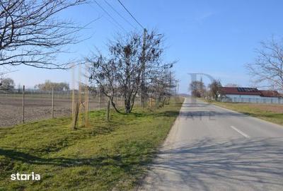 Teren de 5600 mp, în Sălcioara - 7