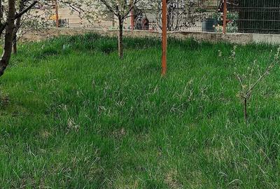 Casă cu Teren 1142 Mp în Aeroport - 2