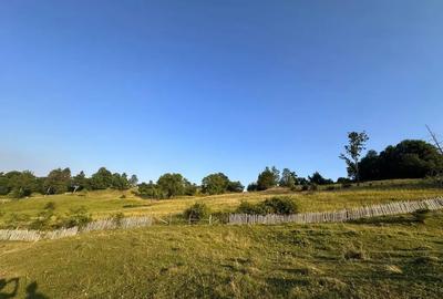 Teren de 13000 mp, în Talea - 2
