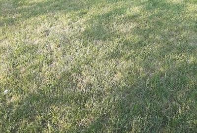 Teren intravilan 2000mp - 2