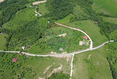 DE VANZARE - Teren intravilan Codru Butesii / Strada Principala - 2