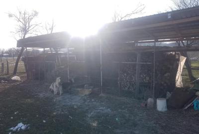 Casă în Telești - 4