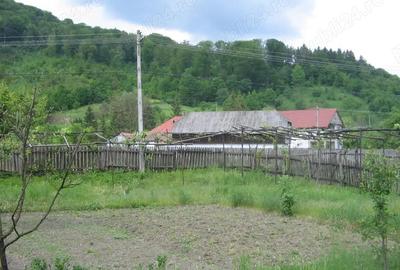 Casă cu 4 camere cu Teren 1650 Mp în Ferestrău-Oituz - 5