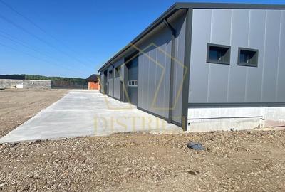 Hala industriala 430mp cu spatiu de birouri 130mp | Oradea - 4