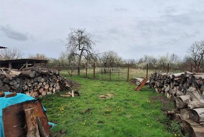 Casă cu Teren 4636 Mp în Central - 1