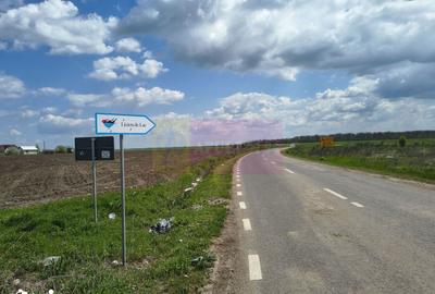 Teren de 3000 mp, în Cernica - 16