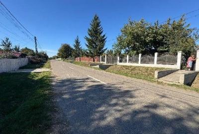 Casă cu 3 camere cu Teren 2000 Mp în Talpa - 8