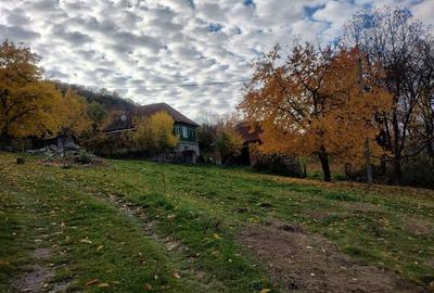 Casă cu 2 camere în Bratca - 3