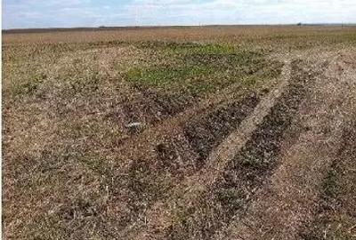 Teren extravilan cota parte 1/2 Alexandria, ID: R2814838 - 6