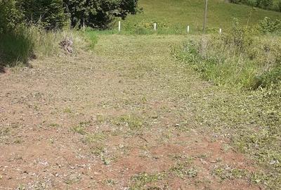 Teren de 5100 mp, în Viștea