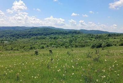 Teren de 10000 mp, în Valea Iașului - 4