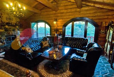 Complex  Printesa din Carpati  - Oportunitate de Investitie Unica pe Valea Aries Complex  Printesa din Carpati  - Oportunitate de Investitie Unica pe Valea Aries - 18