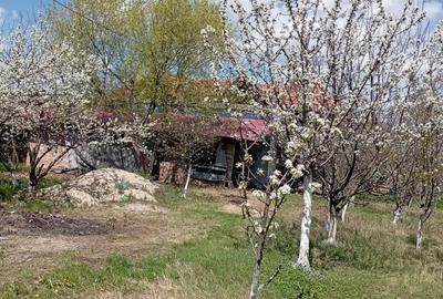 Casa de vanzare Casa de vanzare - 1