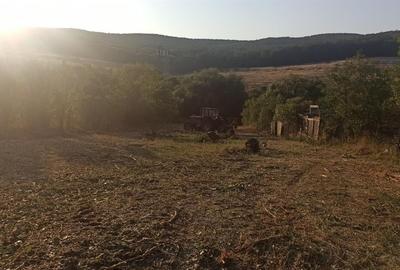 RECO Teren intravilan Husasau de Cris - 2