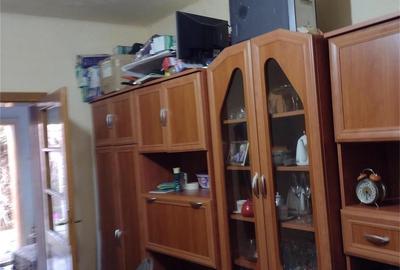 Casă cu 3 camere în Șega - 4