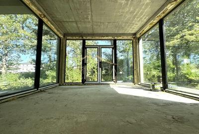 Vila cu 13 camere *4000mp teren* / Piscina / Snagov Vila cu 13 camere *4000mp teren* / Piscina / Snagov - 14