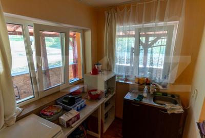 Casa de vanzare in Rovina(Branisca) - 27