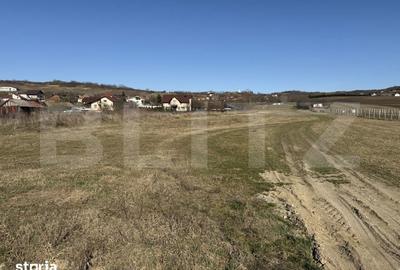 Teren de 2900 mp, în Hereclean - 1