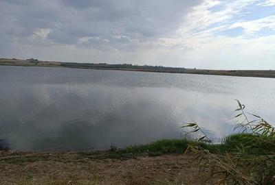 Teren de 10000 mp, în Hotarele - 4