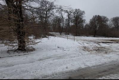 Teren de 500 mp, în Grigorescu - 3