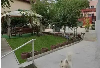 Casa individuala, gradina,  piscina, foisor, locuri de parcare - 16