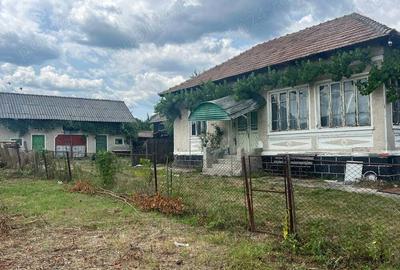 Casa batraneasca +pamant - 4