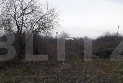 Teren de vanzare,Targu Jiu - 2