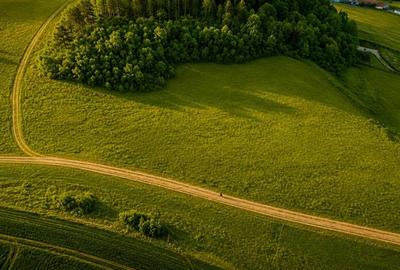 Teren extravilan de 6000 mp, în Sângeorgiu de Mureș - 2