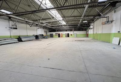 Spațiu comercial, de 35,092 mp, în Valu lui Traian - 7