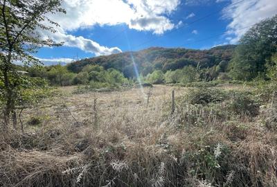 Spațiu comercial, în Eșelnița - 4