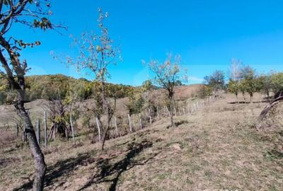 Teren de 7382 mp, în Central - 1