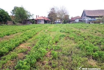 Casă individuală cu 3 camere cu Teren 2571 Mp în Bonțida - 13
