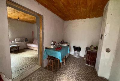 CASA SI TEREN 4.000 MP | SAT TRIA | COMUNA DERNA | JUDETUL BIHOR - 9