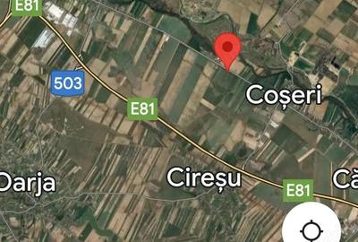 Vand 5,5 ha teren curti-constructii, Cateasca, Arges cu deschidere DJ de aprox. 130 m