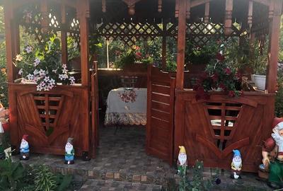 Casă cu Teren 2750 Mp în Vulpeni - 2