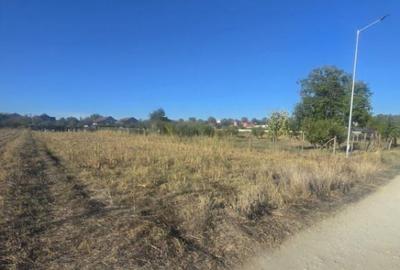 Teren 1000mp ,la intrarea in Filiasi - 10