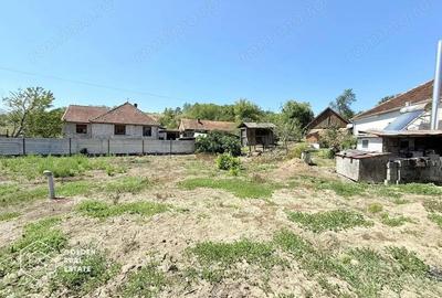 Casa 3 camere, sat Nicolae Balcescu, comision 0% - 15