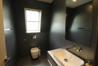 Iancu Nicolae-British School duplex  - 3 dormitoare - 12